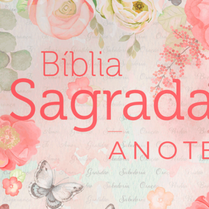 Bíblia Anote – NVI – Clássica virtuosa