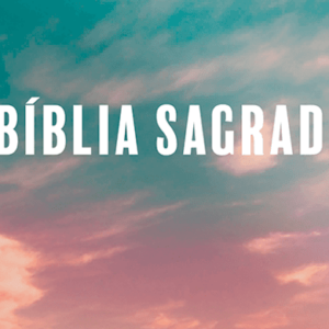 Bíblia Evangelize – ARC – Neutra