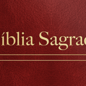 Bíblia Evangelize – ARC – Vinho