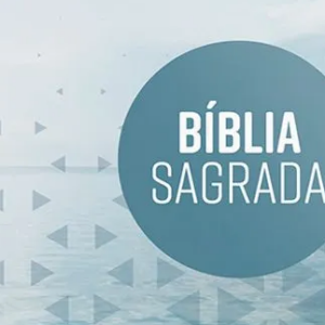 Bíblia Evangelize – NVI – Calmaria