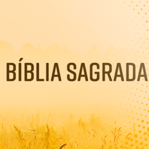 Bíblia Evangelize – NVI – Neutra