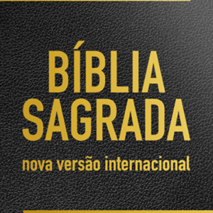 Bíblia NVI – Letra Gigante – Preta