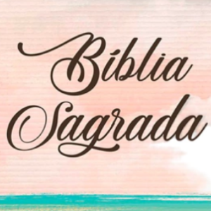 Bíblia Sagrada NVI – Colorida (Capa Dura)