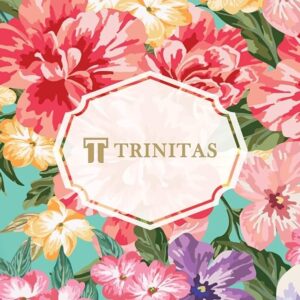 Box Feminilidade – Editora Trinitas