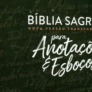 Bíblia Sagrada Nova Versão Transformadora para Anotações e Esboços