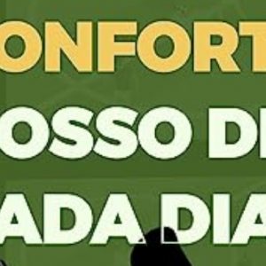 Conforto nosso de cada dia (Emilio Garofalo Neto)