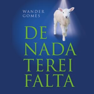 De nada terei falta (Wander Gomes)