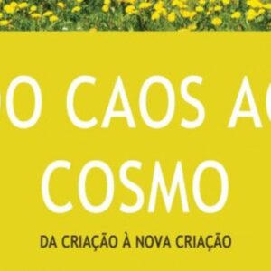 Do caos ao cosmo (Sidney Greidanus)