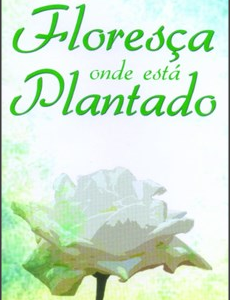 Floresça onde está plantado (Robert H. Schuller)