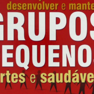 Grupos pequenos fortes e saudáveis (Priscila Laranjeira)