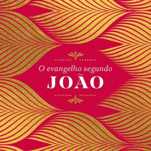 O Evangelho segundo João – Journaling