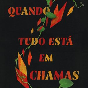 Quando tudo está em chamas (Brian Zahnd)