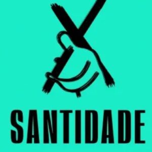 Tudo que o cristão precisa saber sobre santidade (J. V. Fesko)