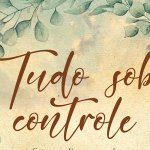 Tudo sob controle (Jennifer Dukes Lee)